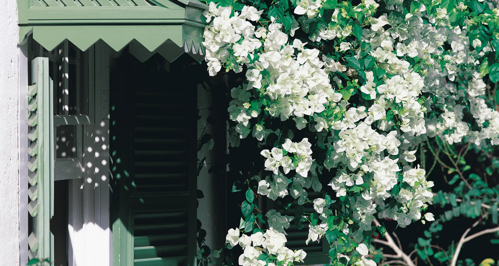 Madox Bougan, Larry Warren Architect, Barbados